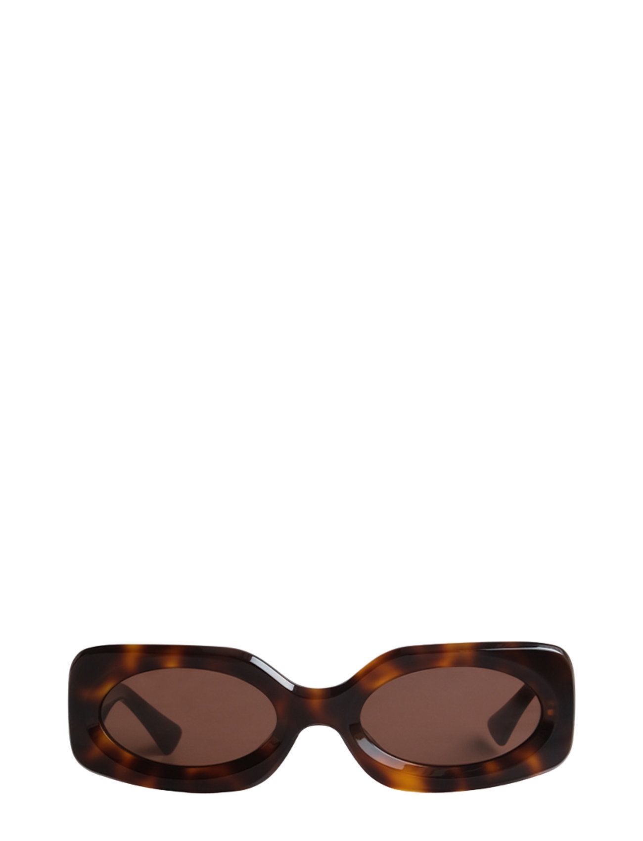 Paloma Tortoise Brown Brown Corlin Eyewear