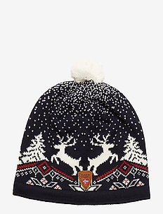 Dale Christmas Hat - BLUE