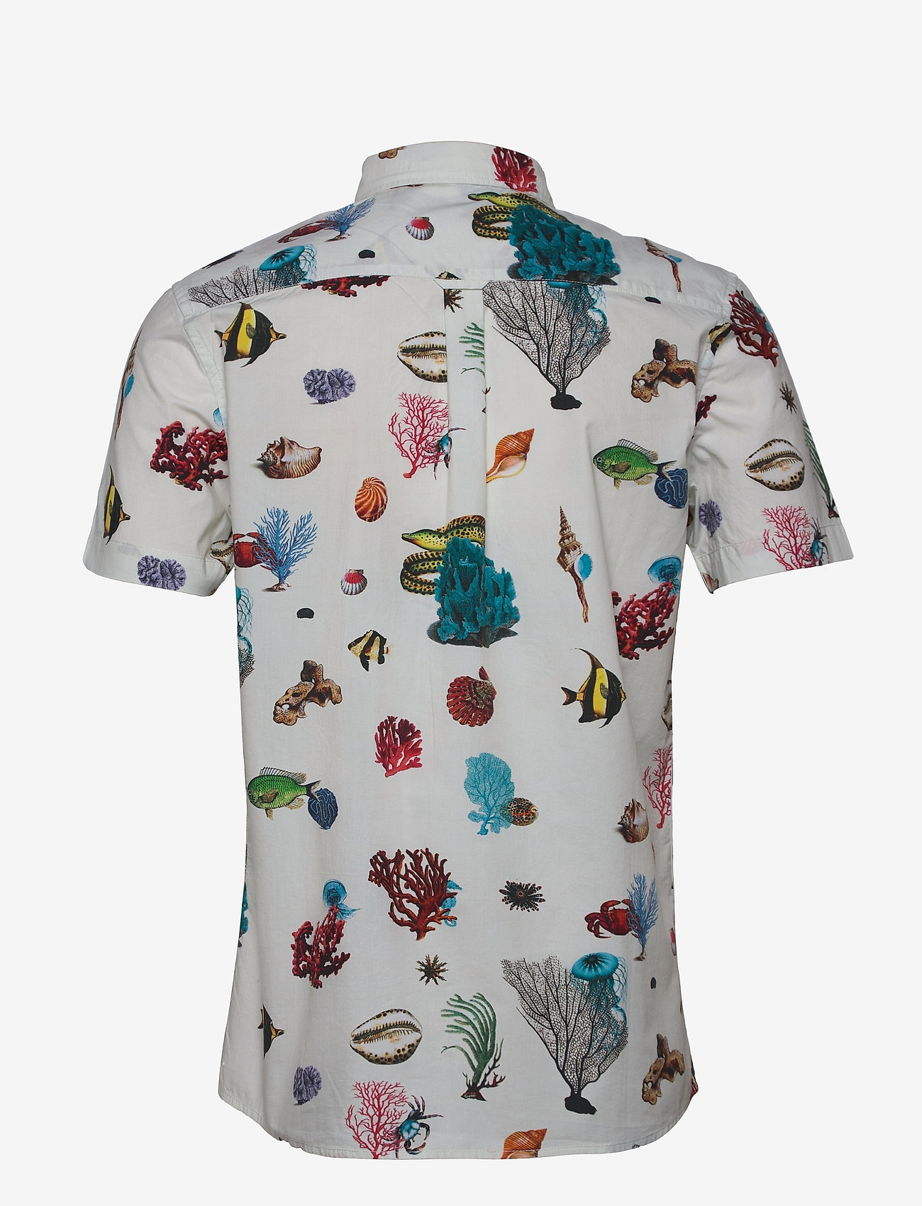 short reef
