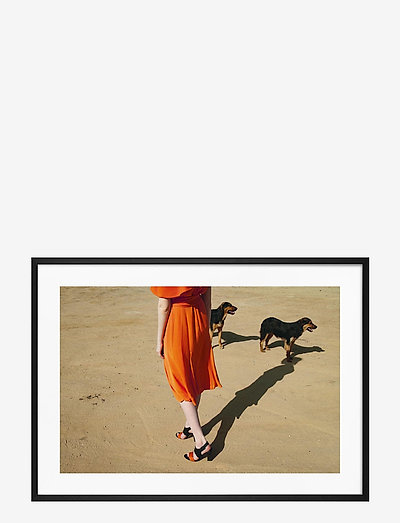 Poster Walking Dogs - photographies - orange