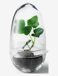 Grow Greenhouse - vaser - clear