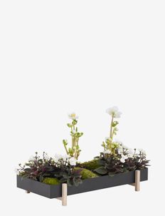 Botanic Tray - plant pots - black/ash