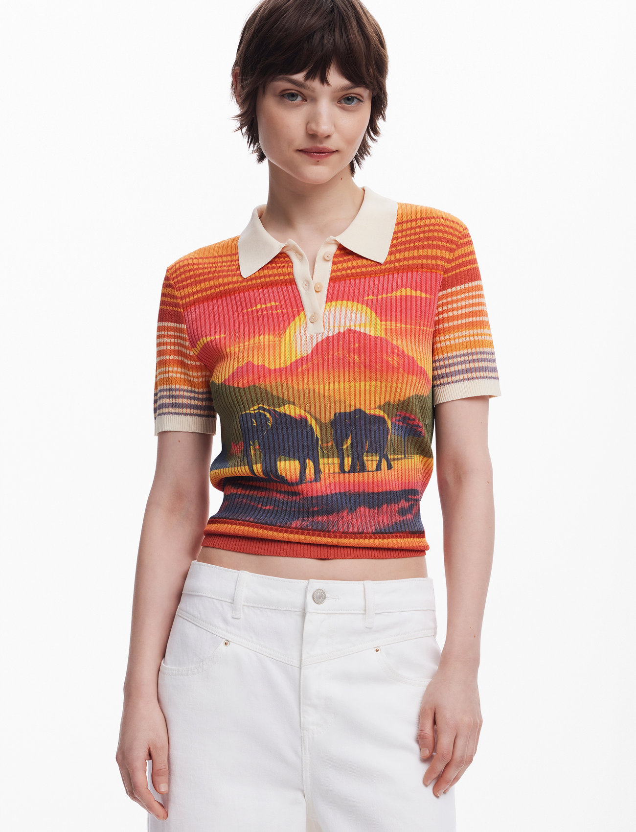 Desigual Himalaya, L, Red, Strik > Trøjer, Dame