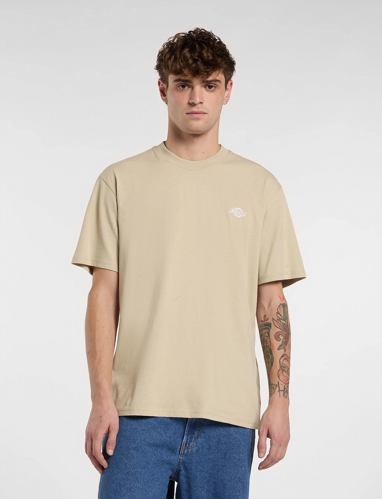 Dickies Summerdale Ss Tee, L, Beige, T-Shirts > Kortærmede, Herre
