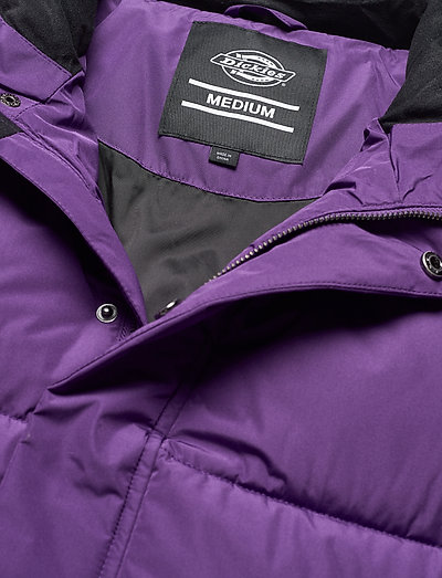 deep purple jacket