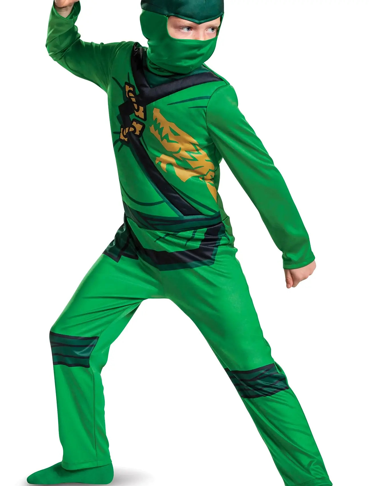 Lloyd Fancy Dress Intl Toys Costumes & Accessories Character Costumes Green Disguise