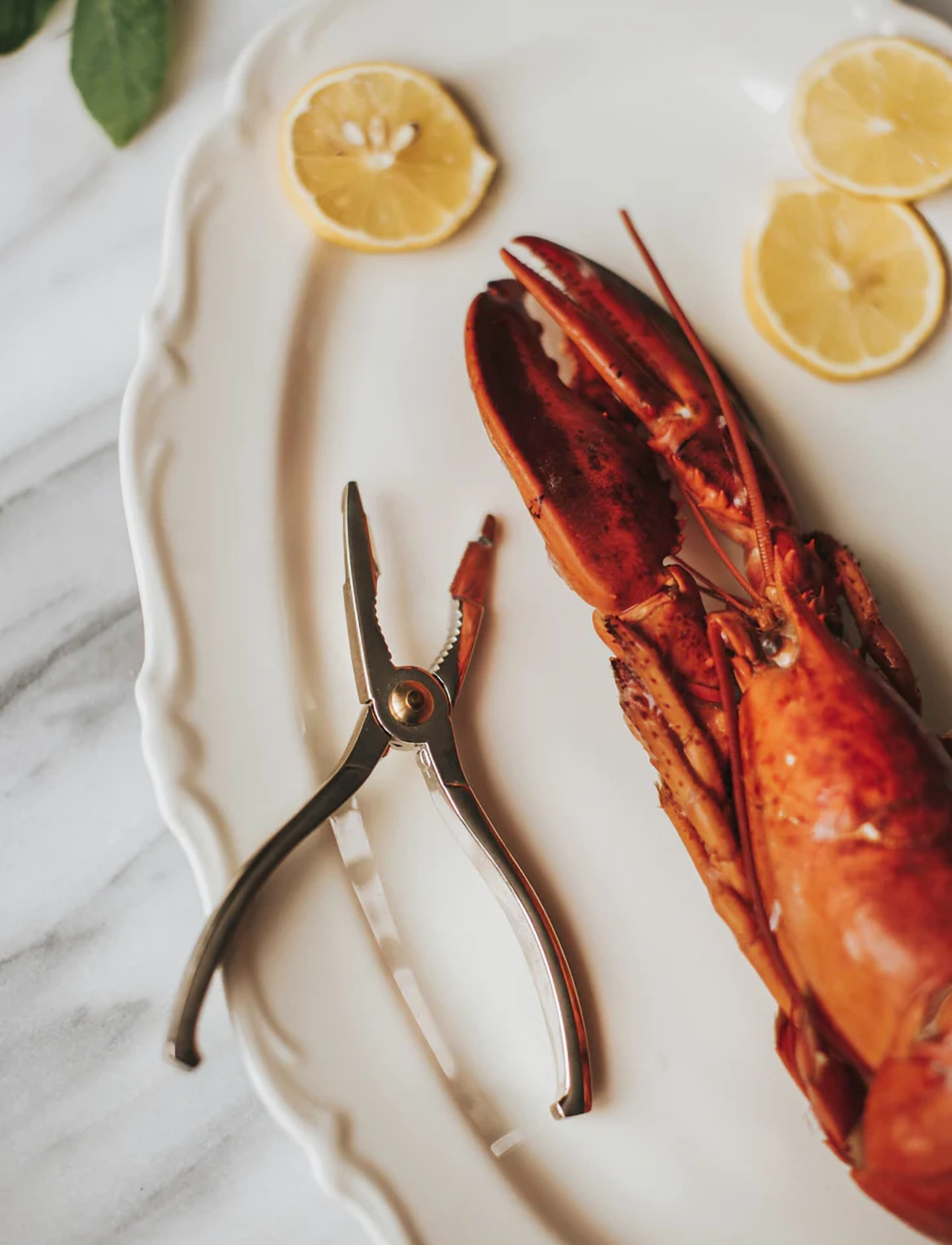 Dorre Seafood Tong Skai, One Size x 15, Silver, Køkkenredskaber > Tænger Og Drejeskiver, Unisex