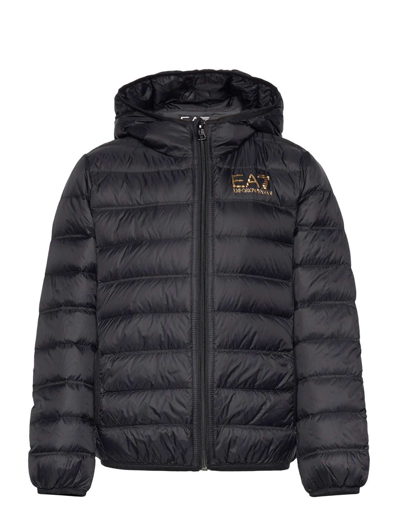 Down Jacket Foret Jakke Black EA7