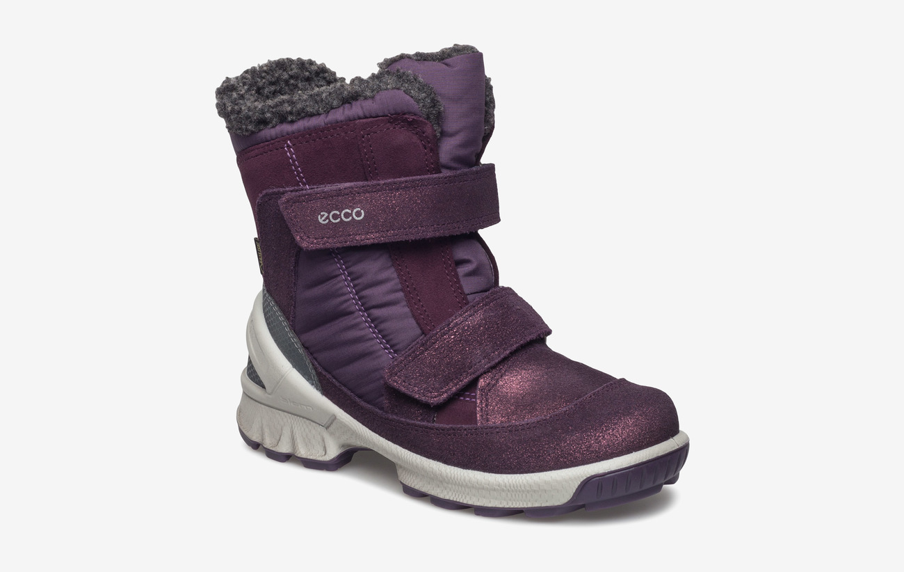 ecco biom hike