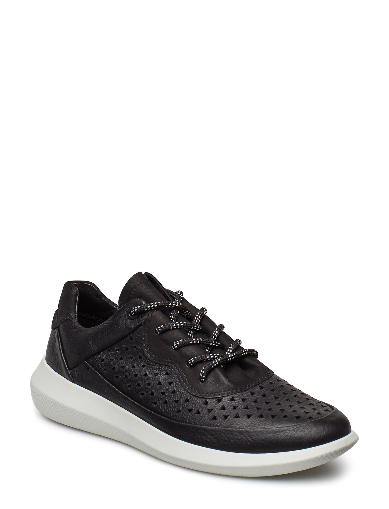 ecco scinapse black