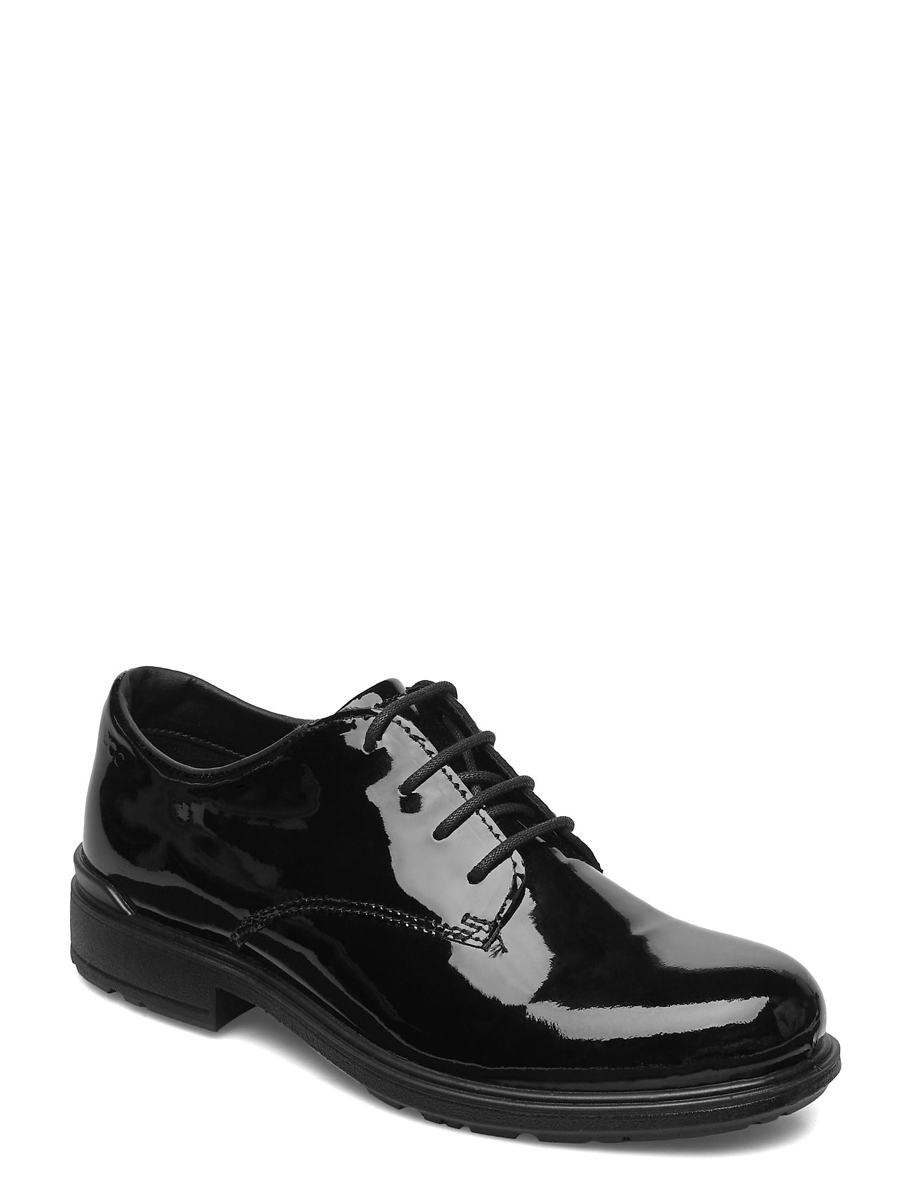Ecco cohen shop