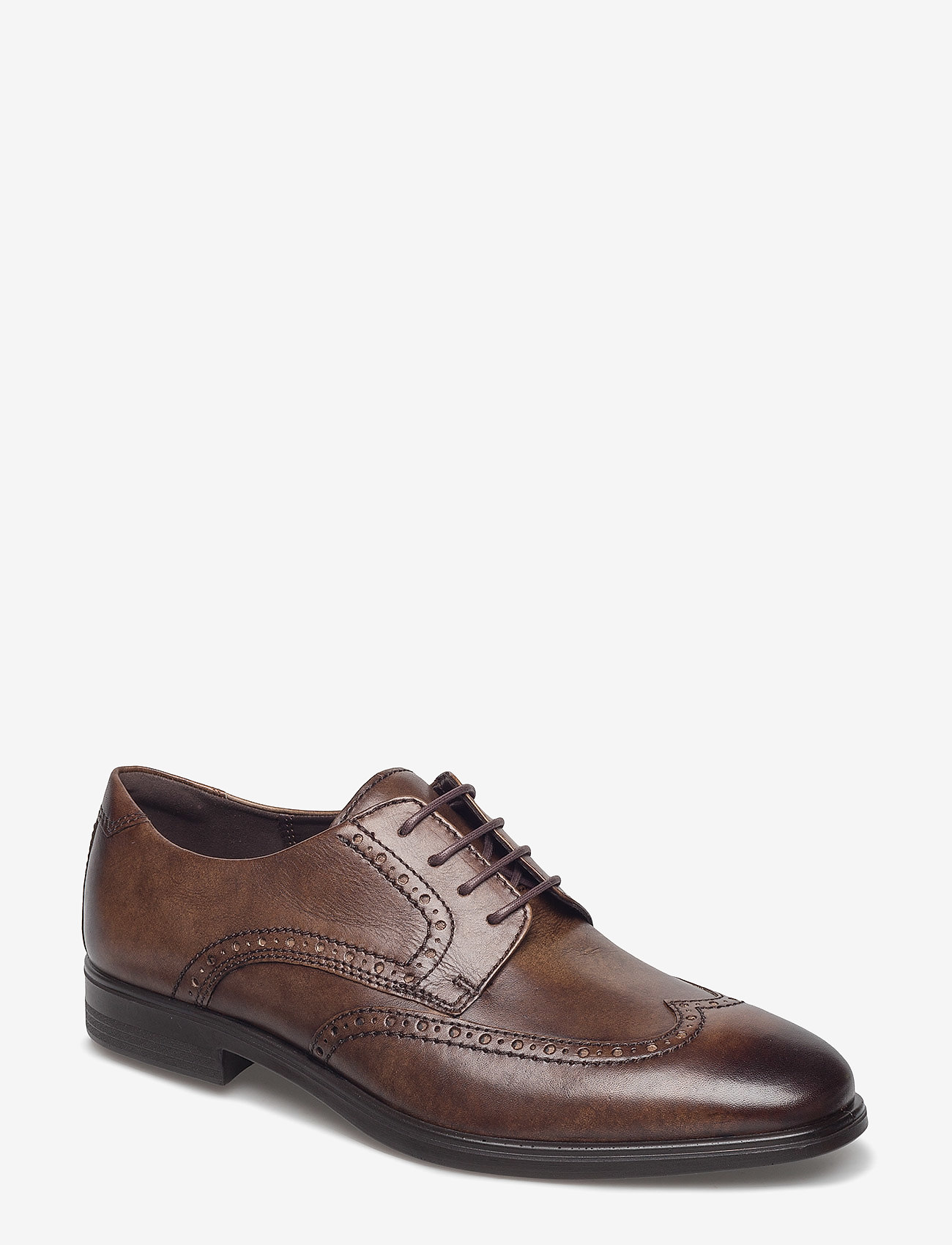 ecco melbourne brown