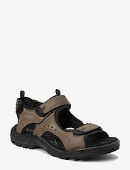 ecco navajo