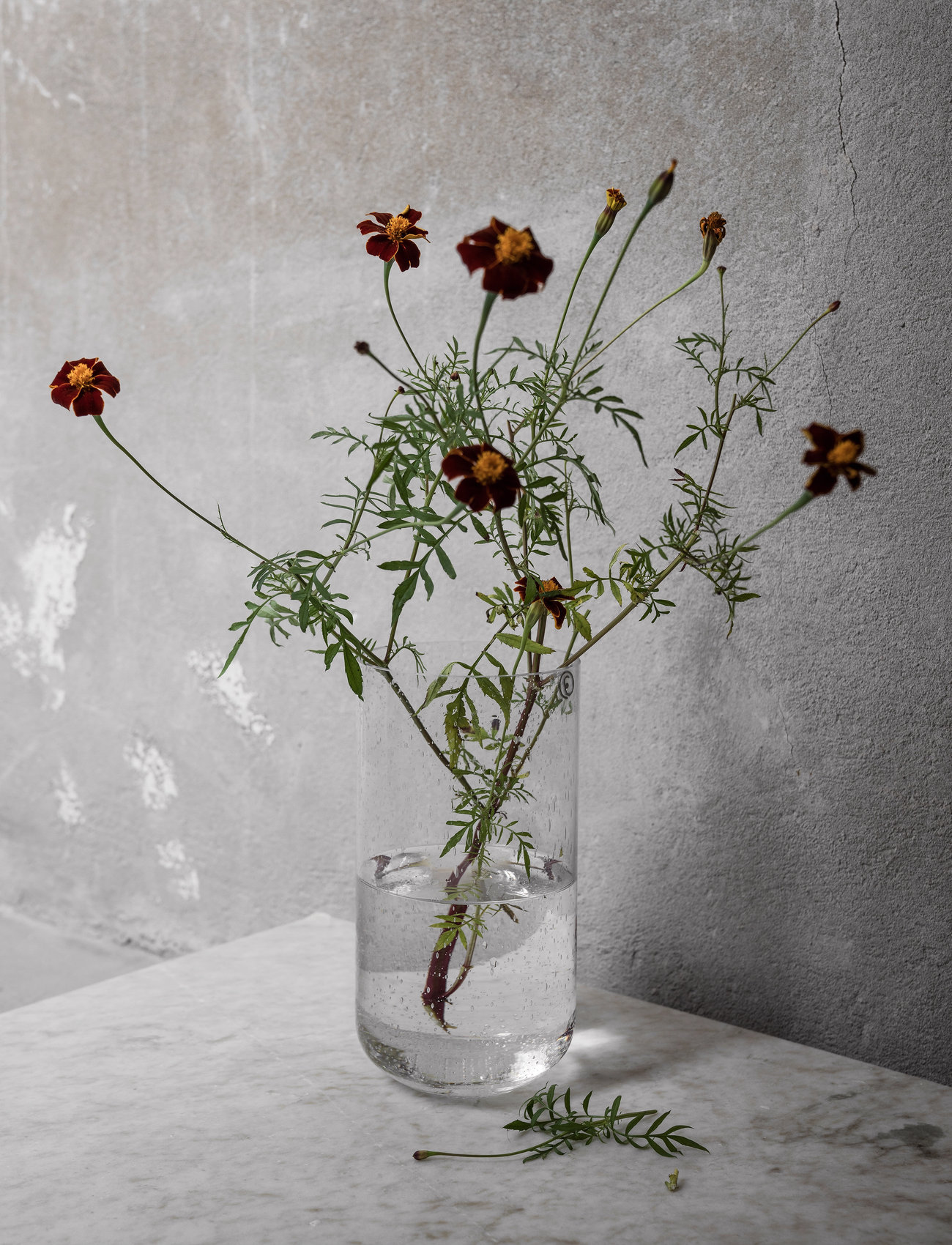ERNST Glassvase, H25 cm, Silver, Vaser > Tulipanvaser, Unisex
