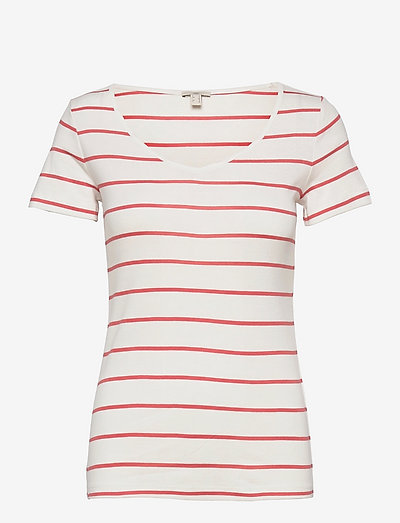 edc organic cotton t shirt