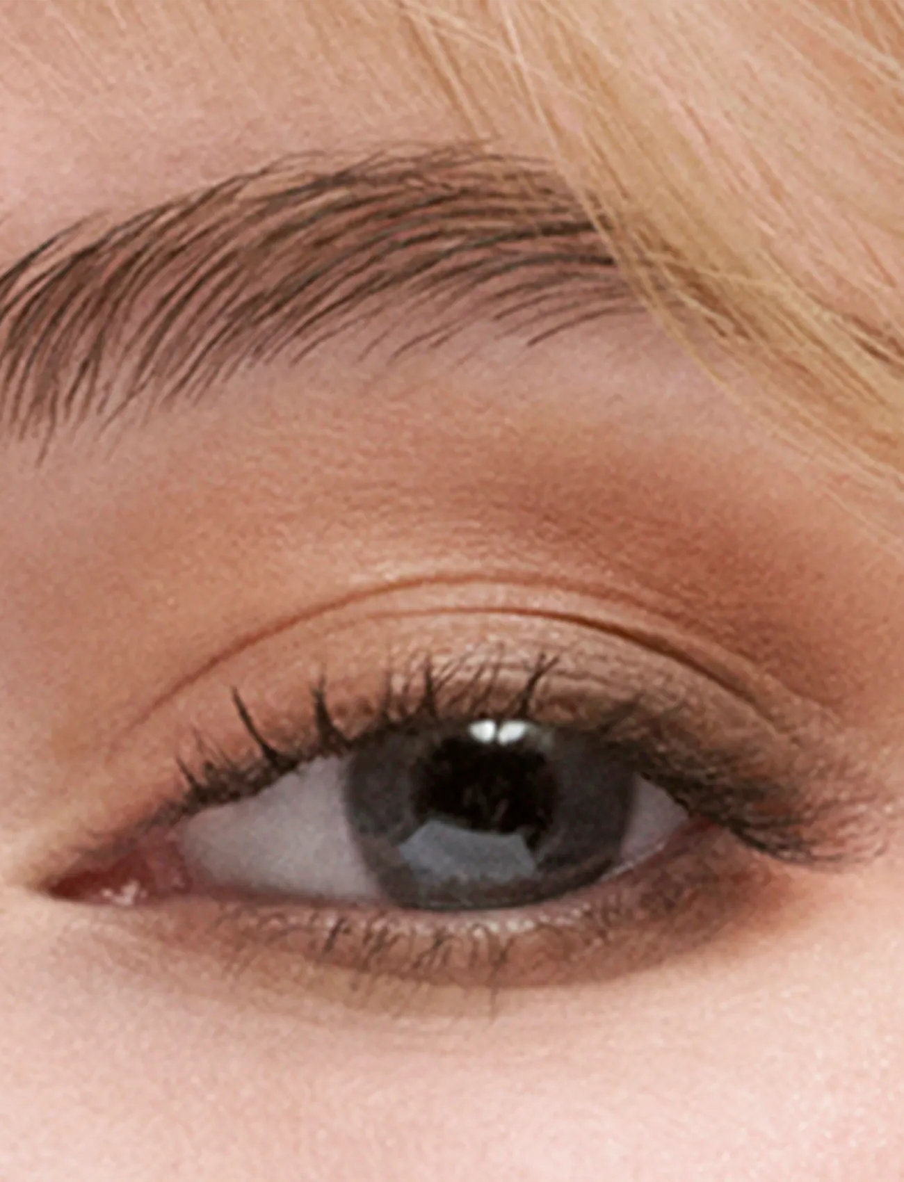 Estée Lauder The Essential Eyeshadow Quad, 4 G, Multi/patterned, Øjenskygger > Øjenpaletter, Dame