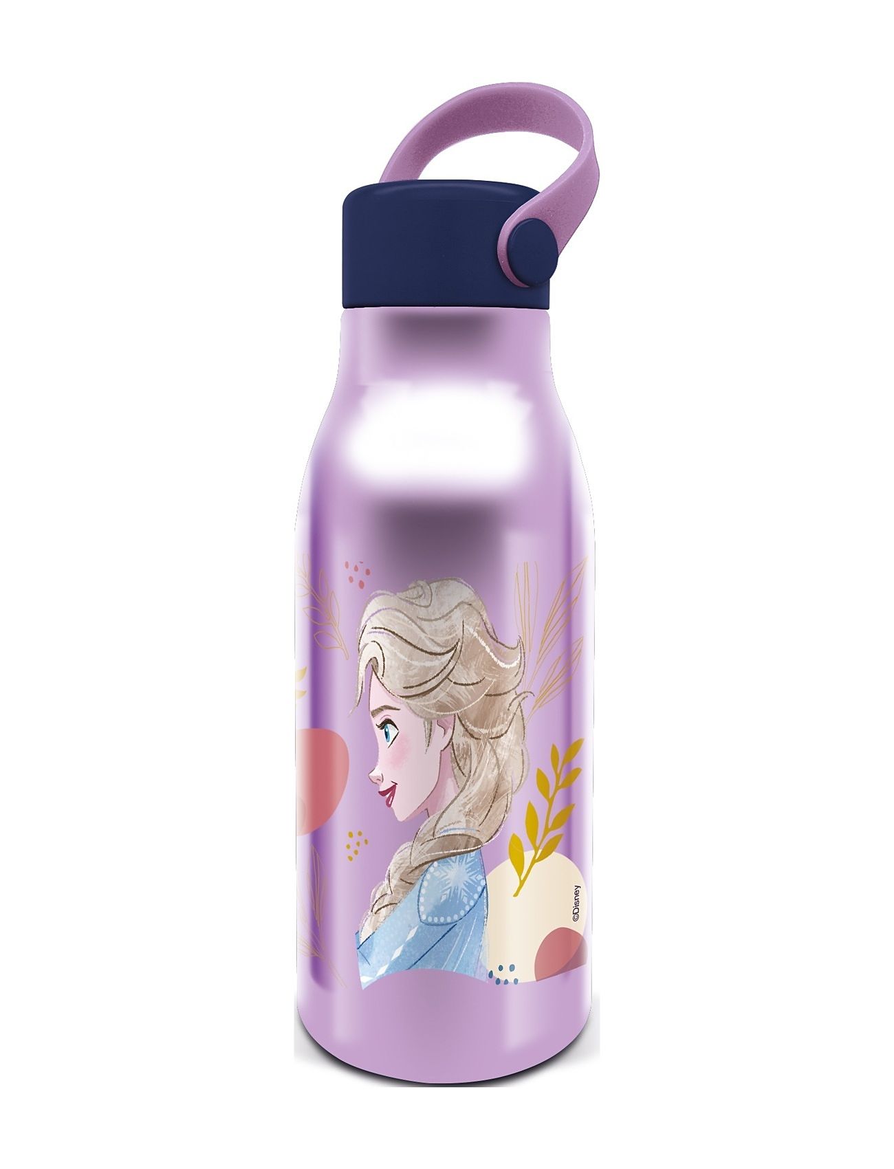 Frozen Flexi Handle Aluminum Water Bottle, 760 Ml Purple Euromic