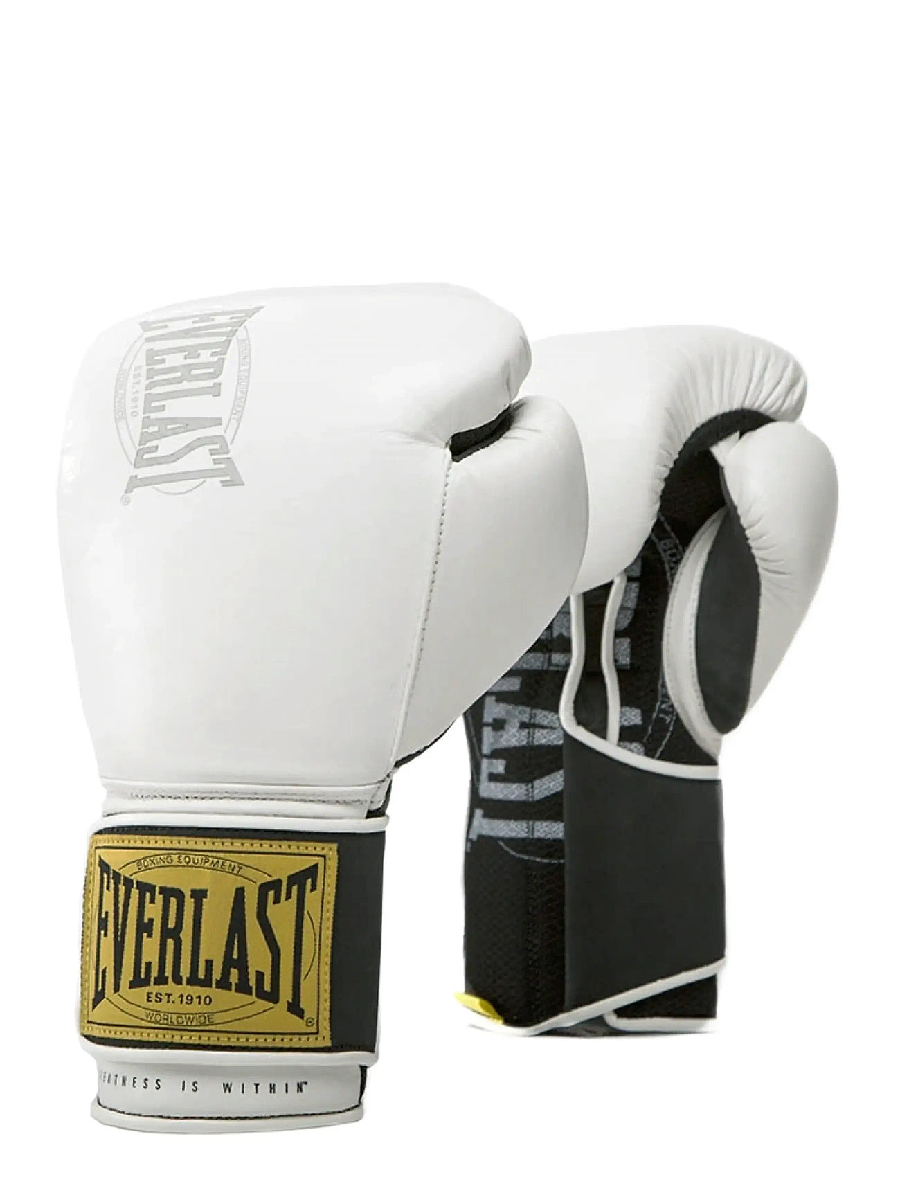 EVERLAST 1910 Classic Training Glove, 12, White, Sport Gloves > Sport Thumb Gloves, Dame