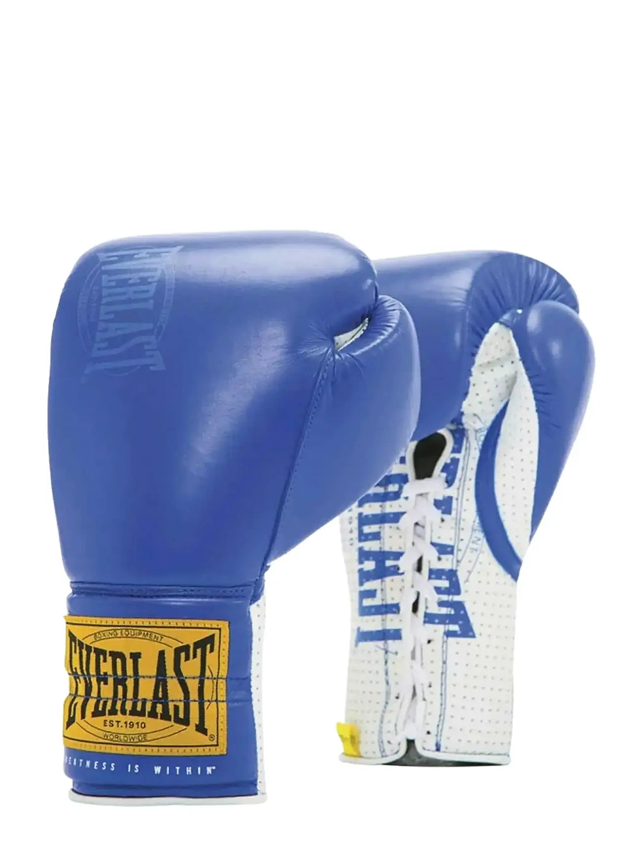 EVERLAST 1910 Sparring Laced Glove, 14, Blue, Sport Equipment > Boxing Equipment, Dame
