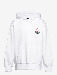 TRAUNSTEIN hoody - BRIGHT WHITE