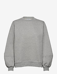 Ganni - Software Isoli - sweatshirts & hoodies - paloma melange - 0