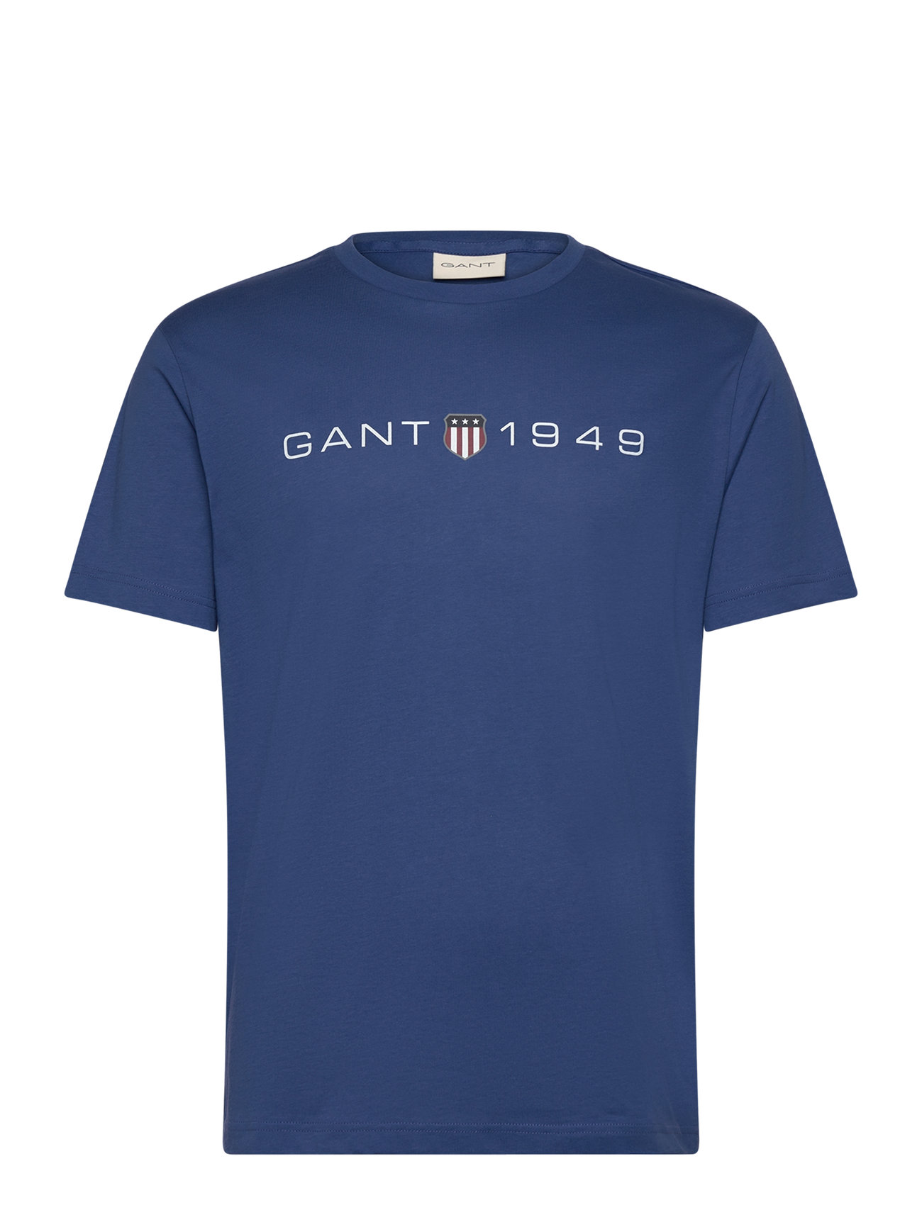 Printed Graphic Ss T-Shirt Blue GANT