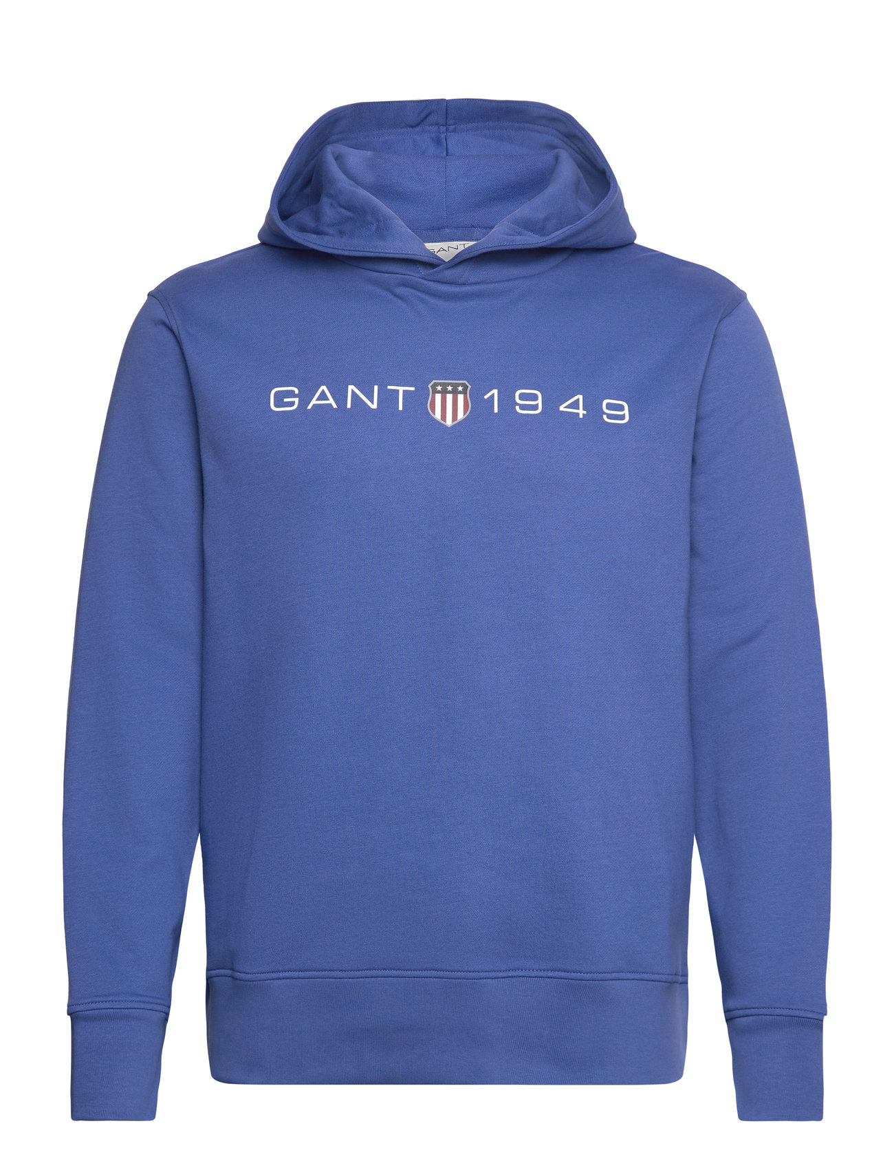 Printed Graphic Hoodie Blue GANT