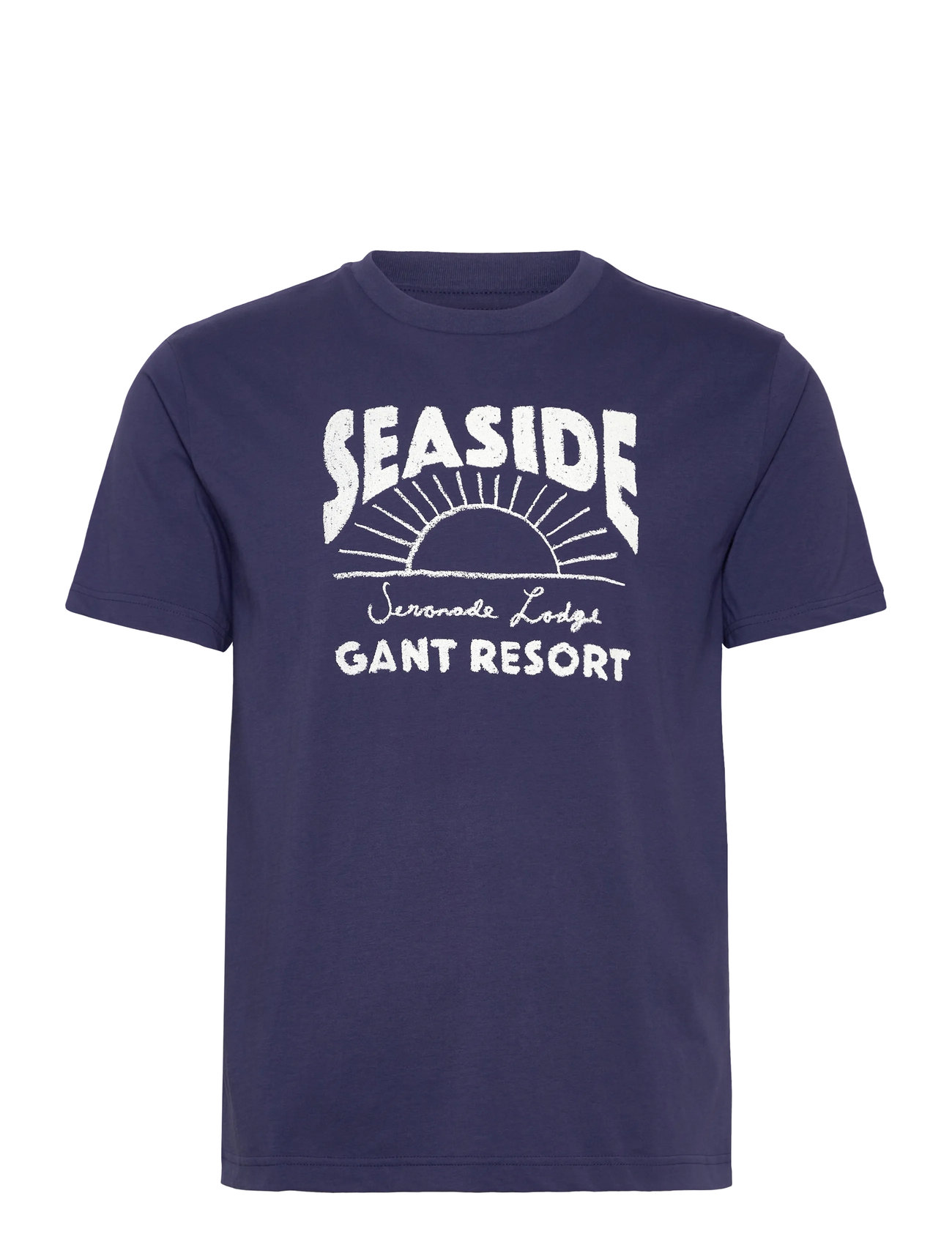 GANT Graphic T-Shirt, S, Blue, T-Shirts > Kortærmede, Herre