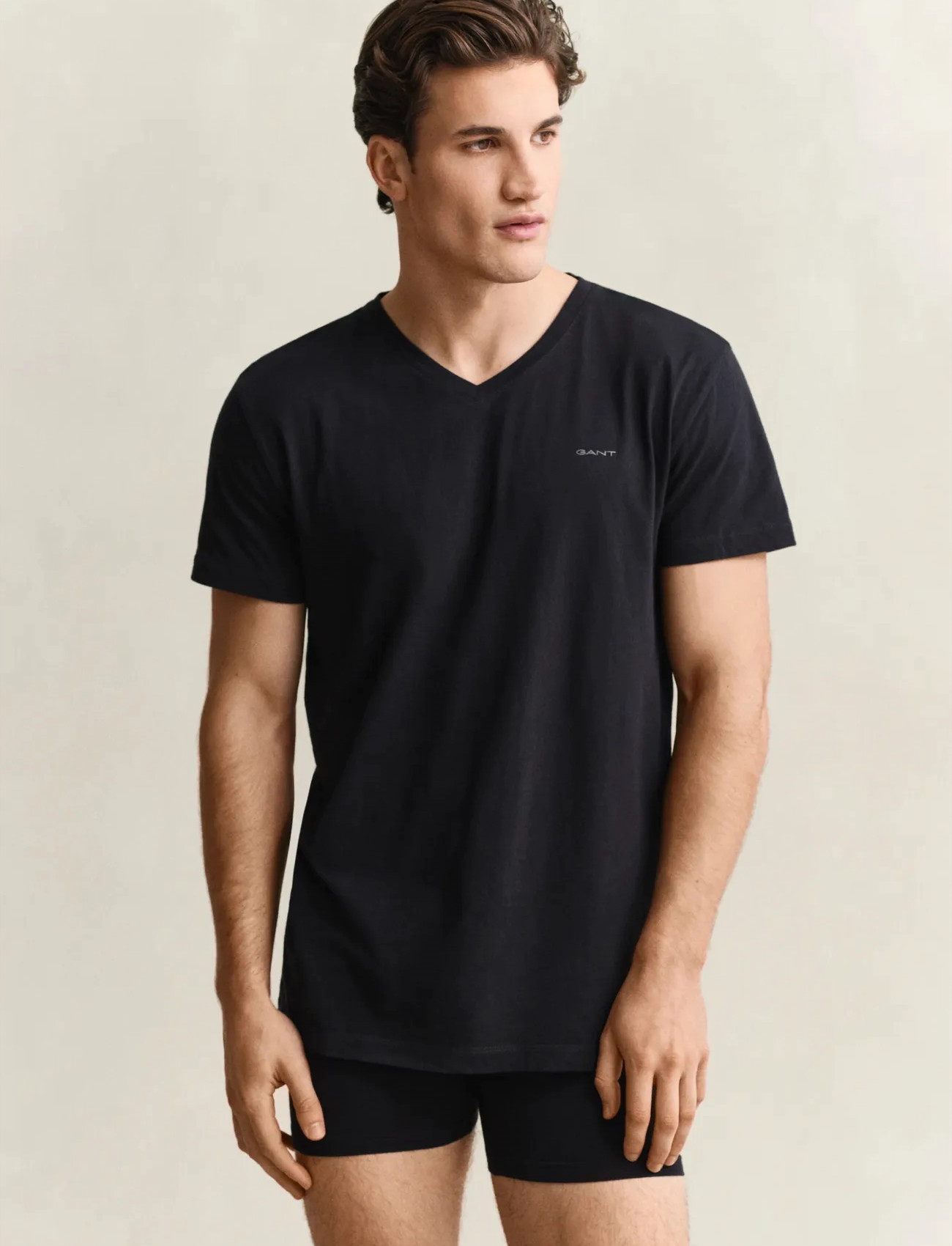 GANT 2-Pack V-Neck T-Shirts, L, Multi/patterned, T-Shirts > Kortærmede, Herre