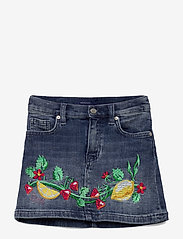gant denim skirt