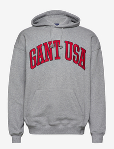 D1. GANT USA SWEAT HOODIE - hoodies - grey melange