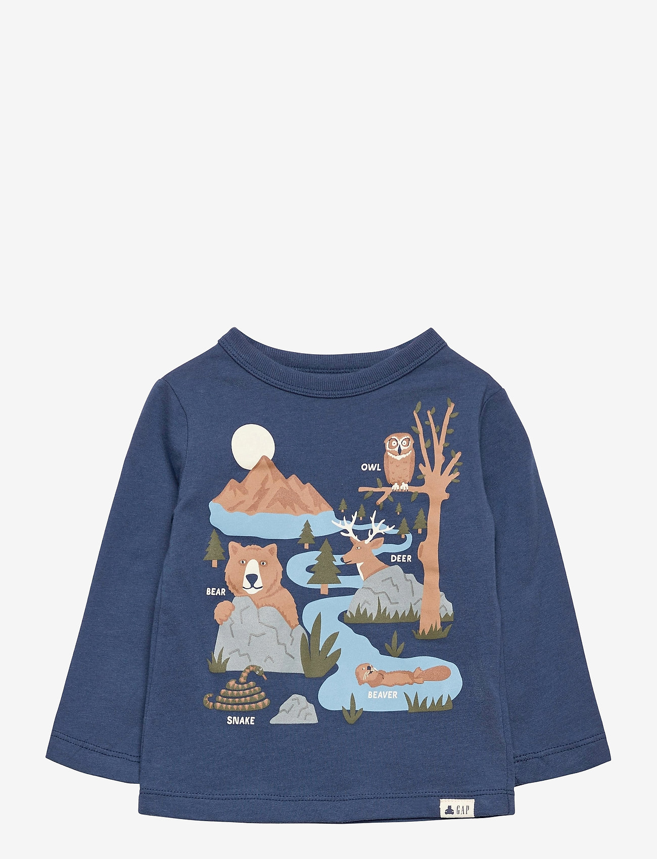 Toddler Mix And Match Graphic T Shirt Blue Shade 13 Gap Boozt Com