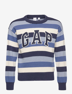 FRAN STRIPED LOGO CREW - džemperi - cool blue stripe