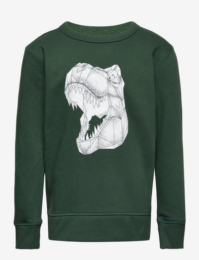 Kids Graphic Crewneck Sweatshirt - sweatshirts - dark emerald
