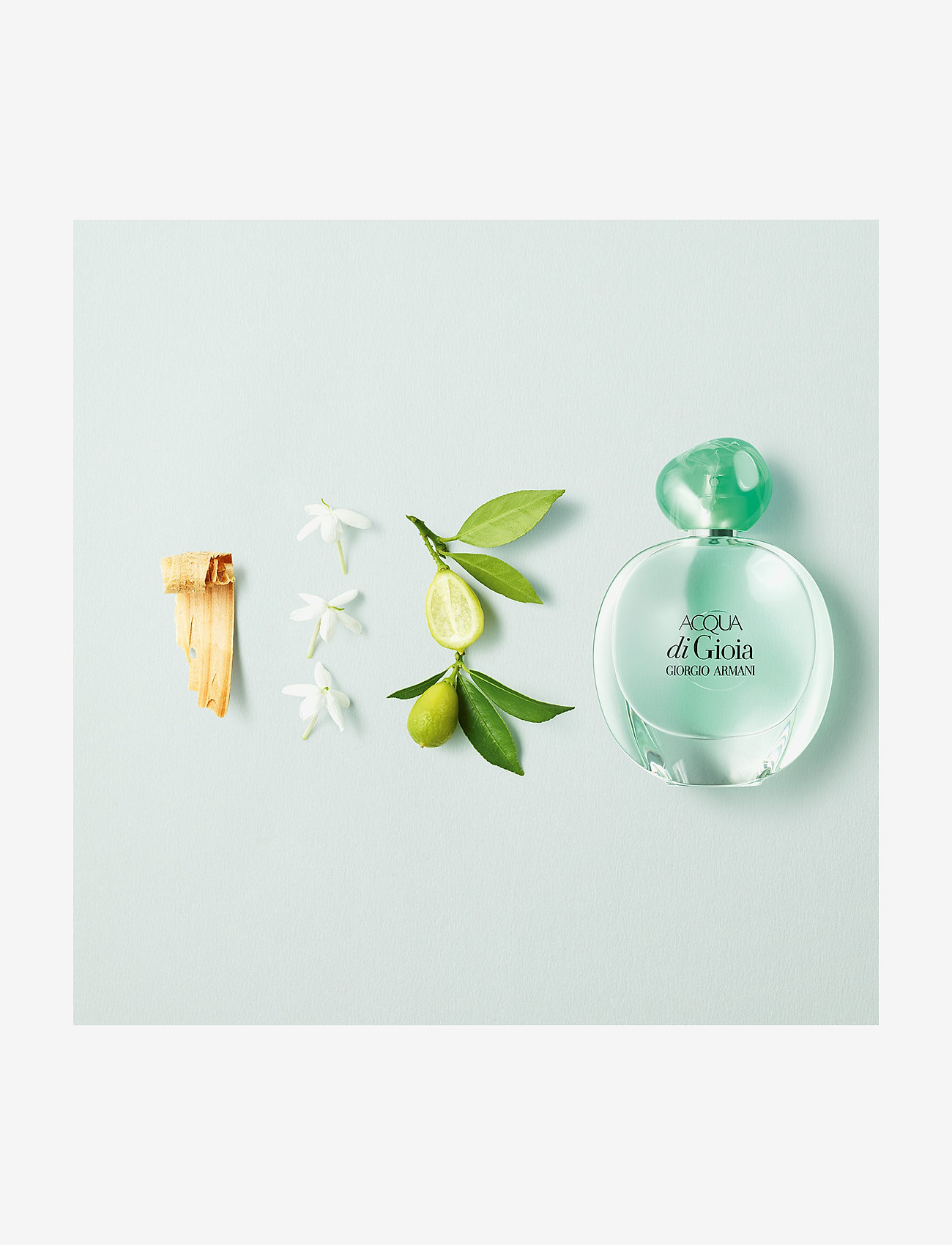 Giorgio Armani Giorgio Armani Acqua Di Gioia Eau De Parfum 50 Ml 79 99 Boozt Com