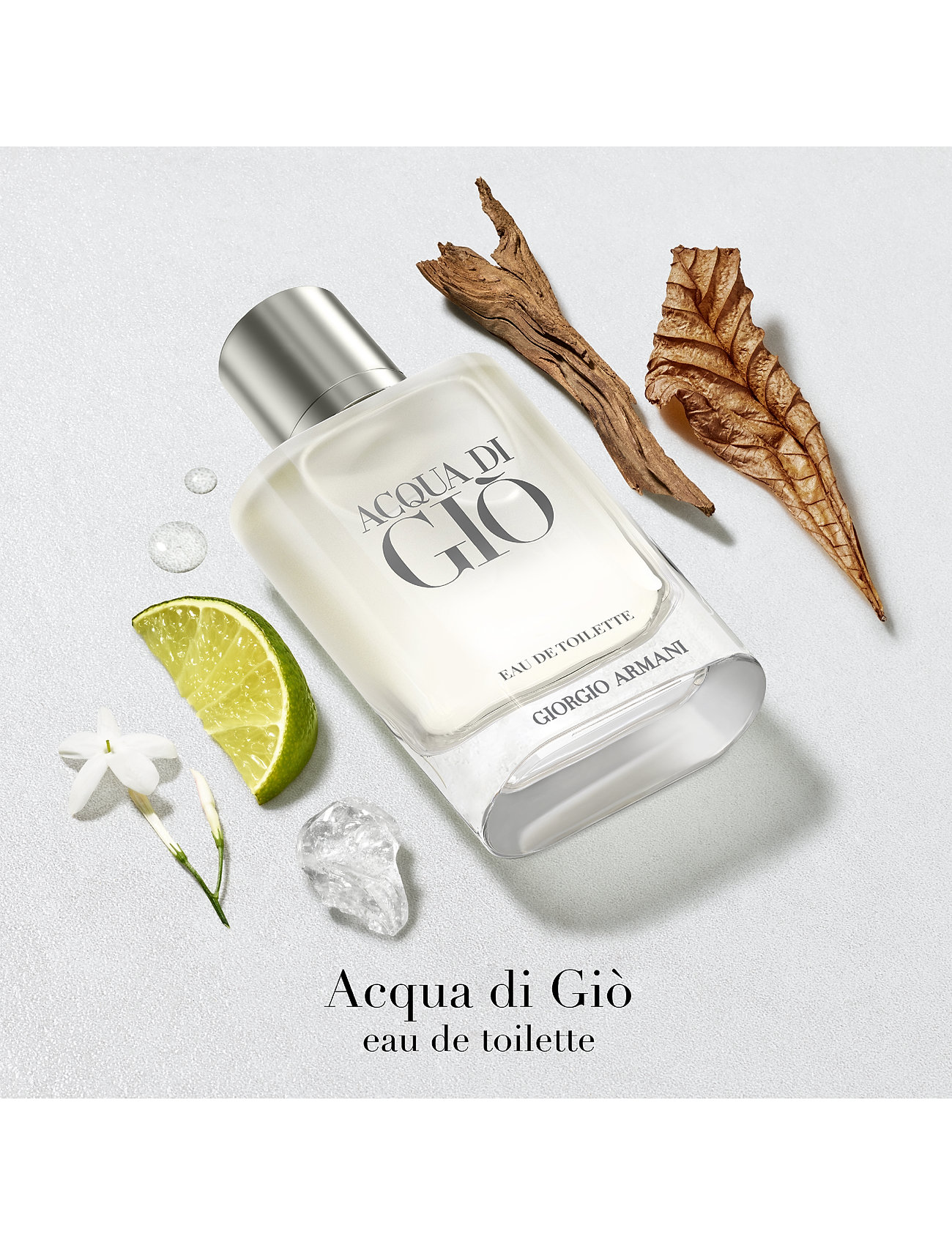 Armani Giorgio Armani Acqua Di Giò Eau De Toilette 100Ml 3