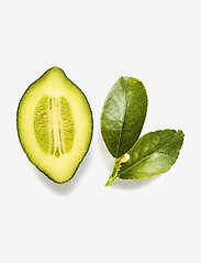 Giorgio Armani Giorgio Armani Acqua Di Gioia Eau De Parfum 50 Ml 79 99 Boozt Com