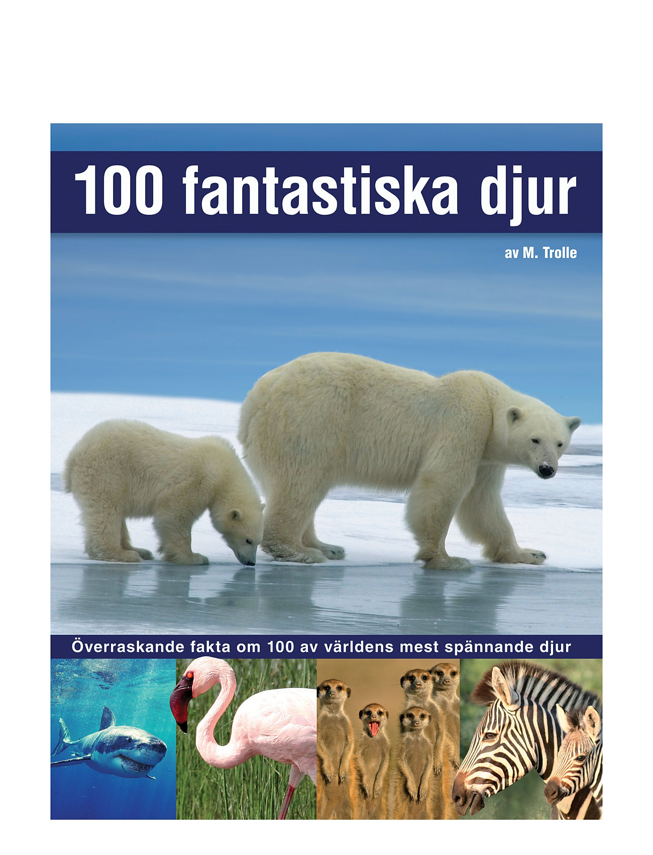 GLOBE 100 Fantastiska Djur Multi/patterned