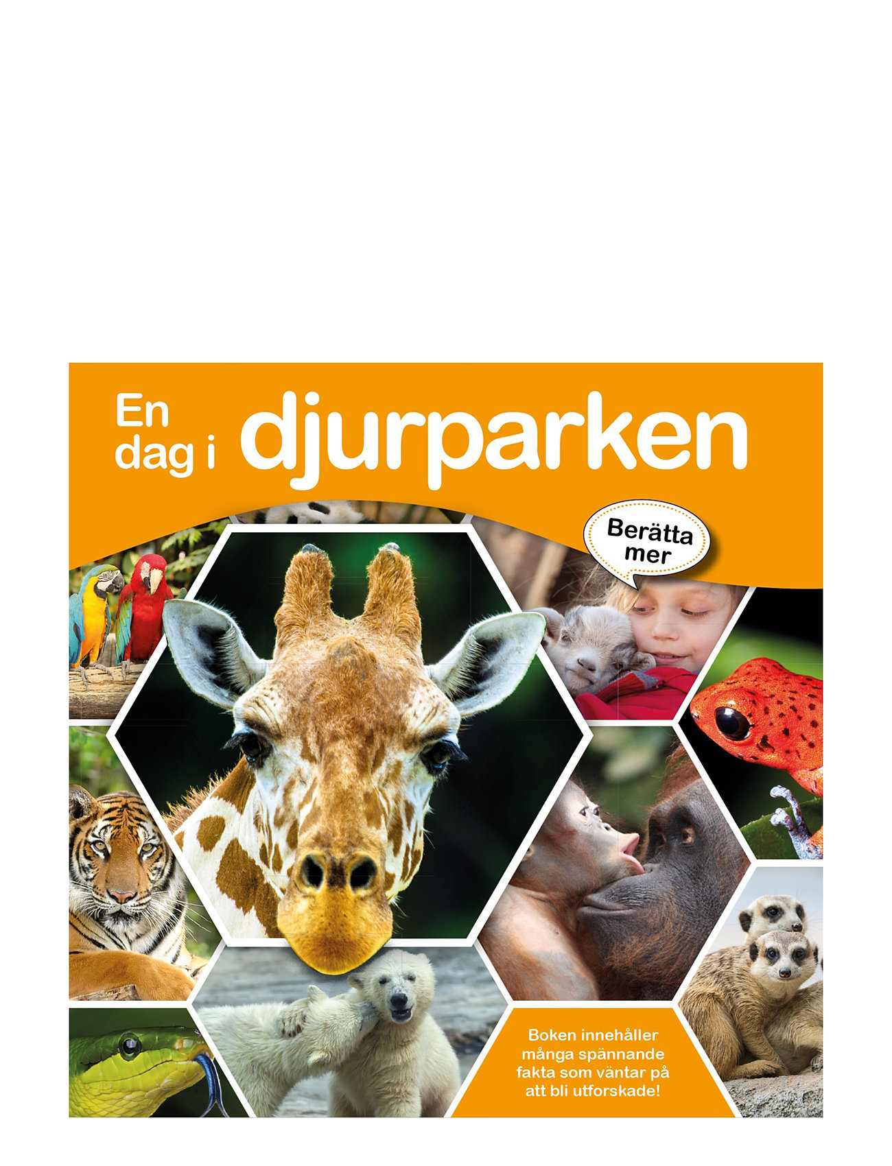 En Dag I Djurparken Toys Baby Books Educational Books Multi/patterned GLOBE
