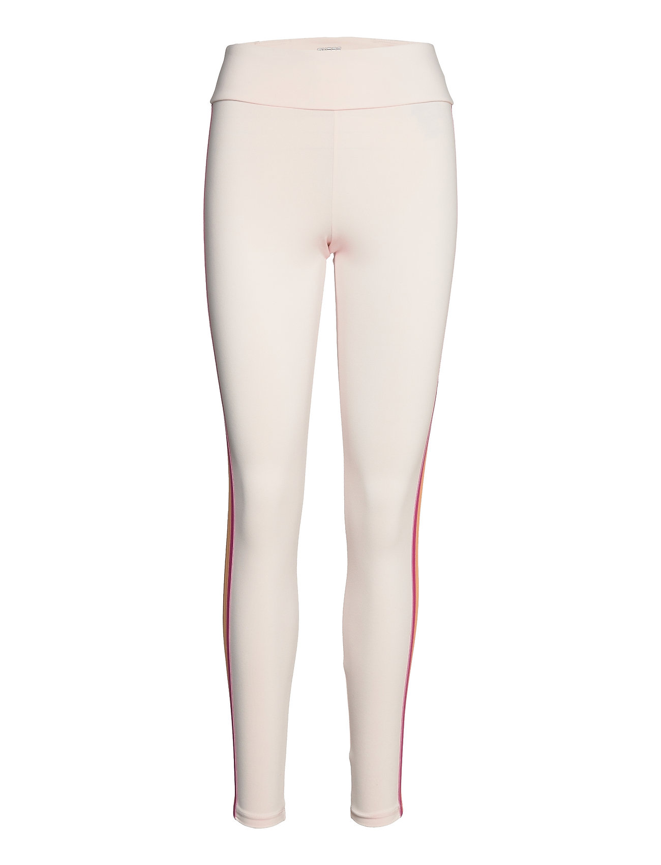 Guess Womens Shaded Seamless Leggings 4/4 : : Clothing, Shoes &  Accessories
