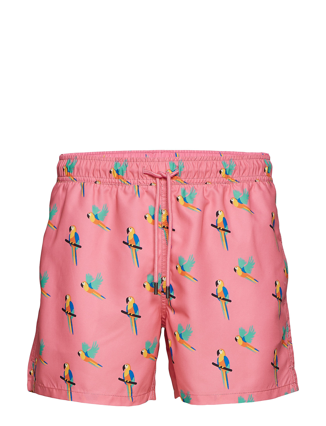 parrot swim shorts