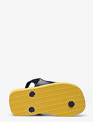 havaianas boozt