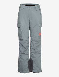 W SWITCH CARGO INSULATED PANT - spodnie narciarskie - 591 trooper