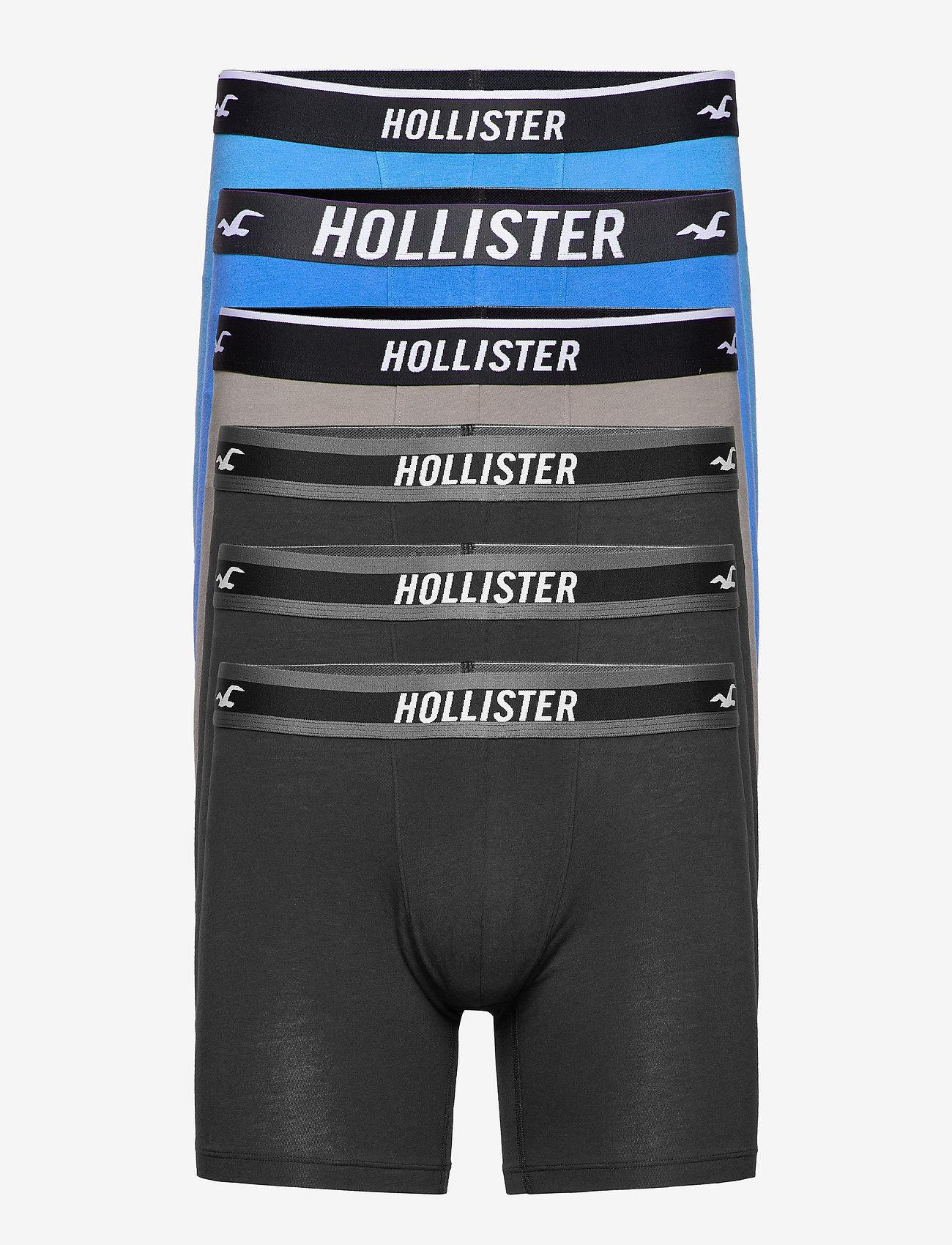 boxers hollister