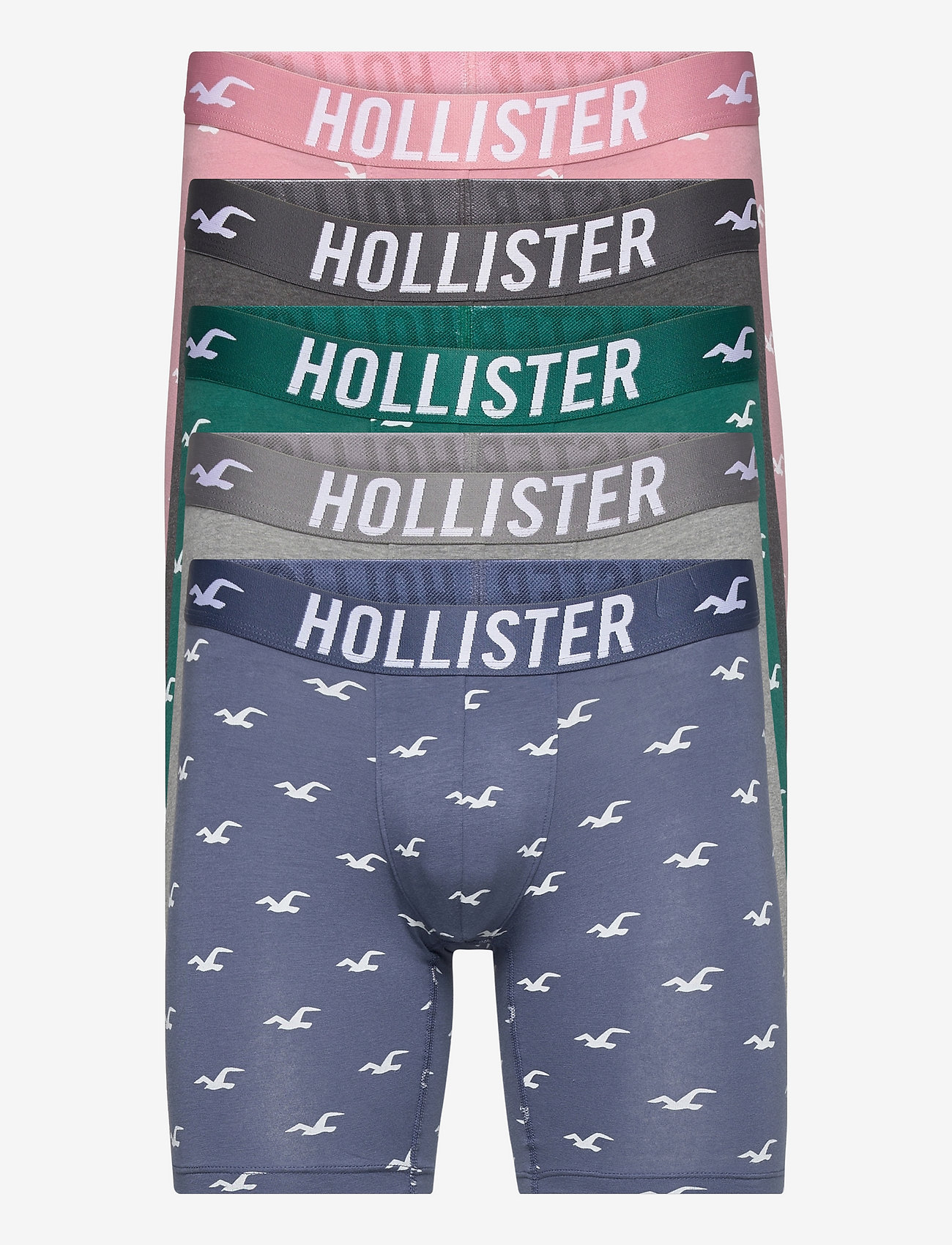 hollister mens boxers