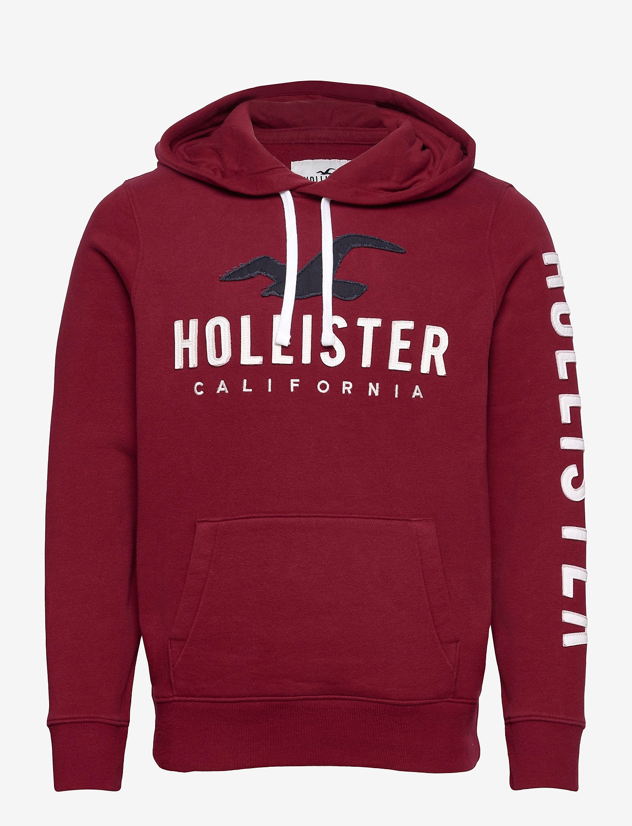 hollister guys hoodies