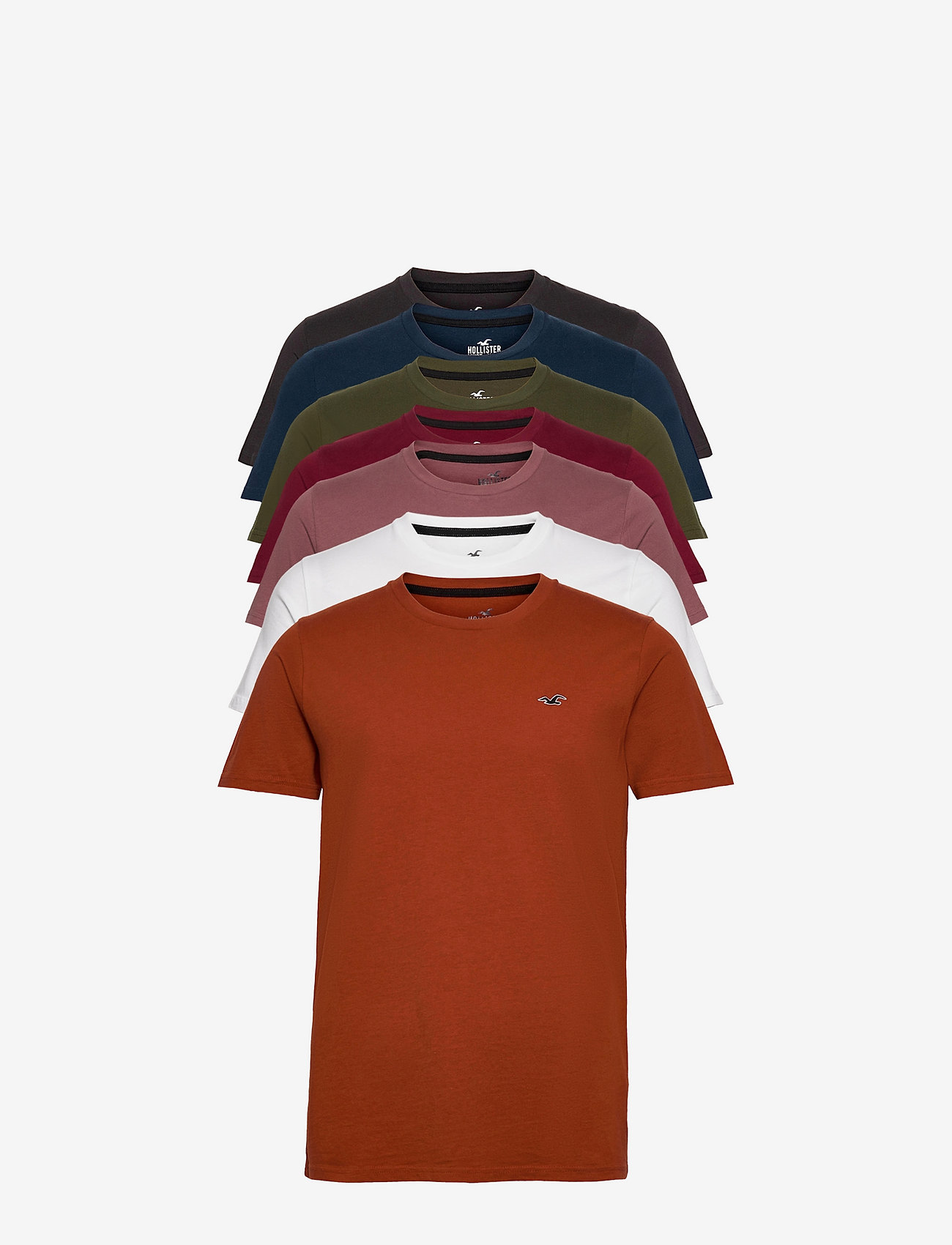 Hollister Hco. Guys Knits - Vacation 
