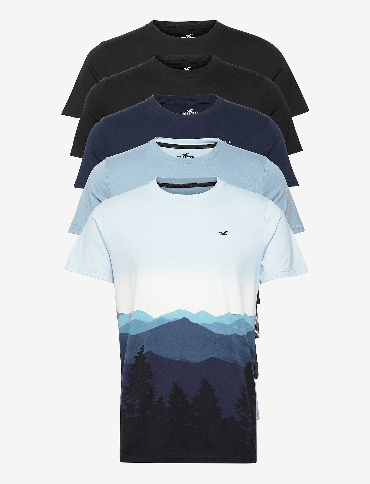 hco hollister