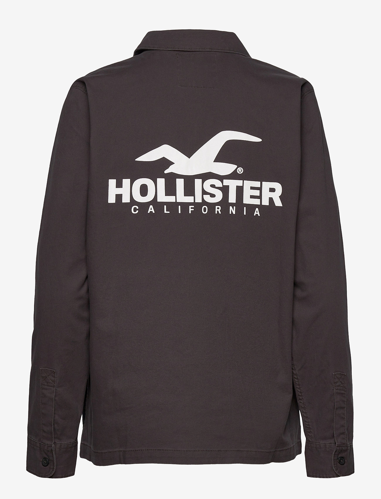 hco hollister