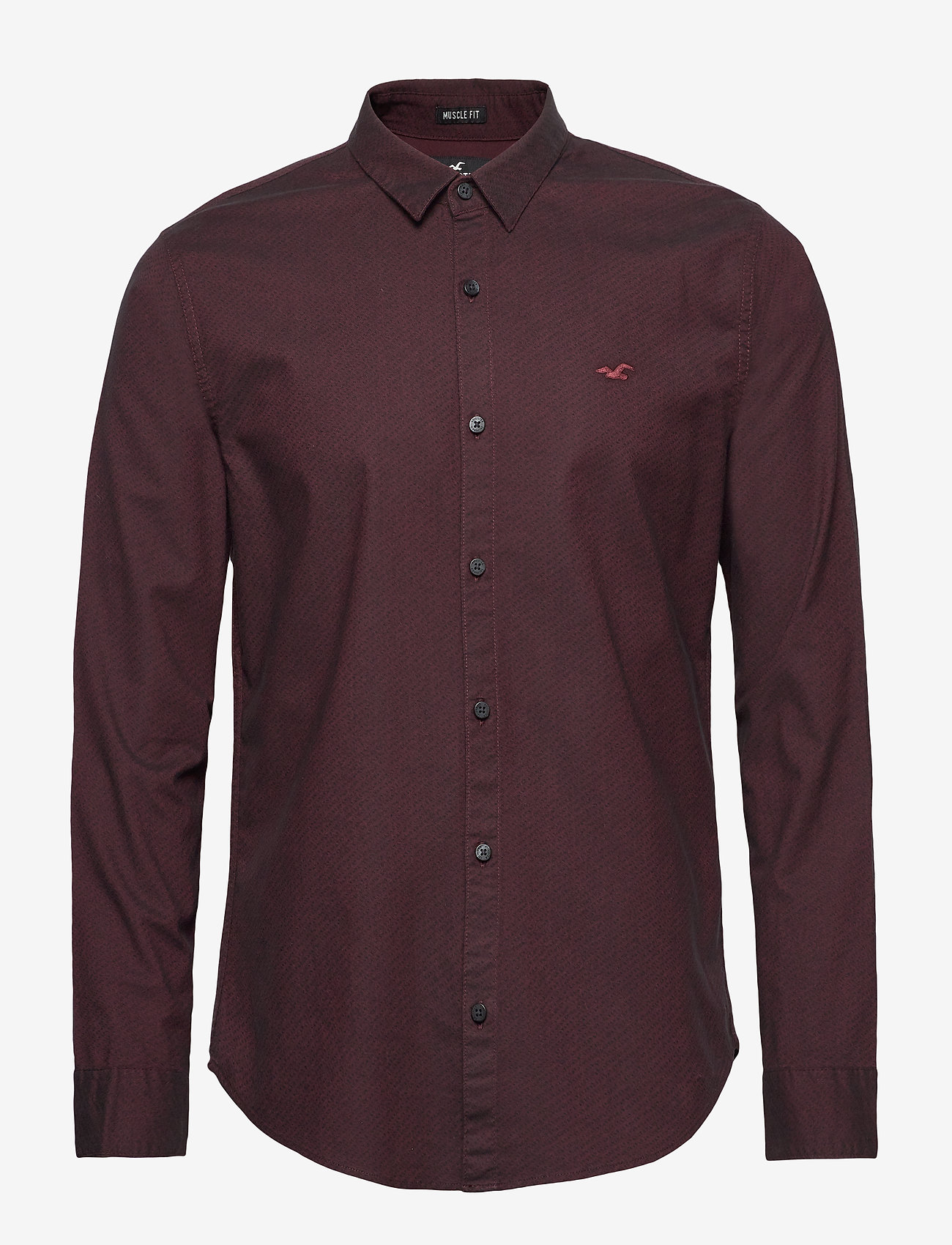 hollister oxford